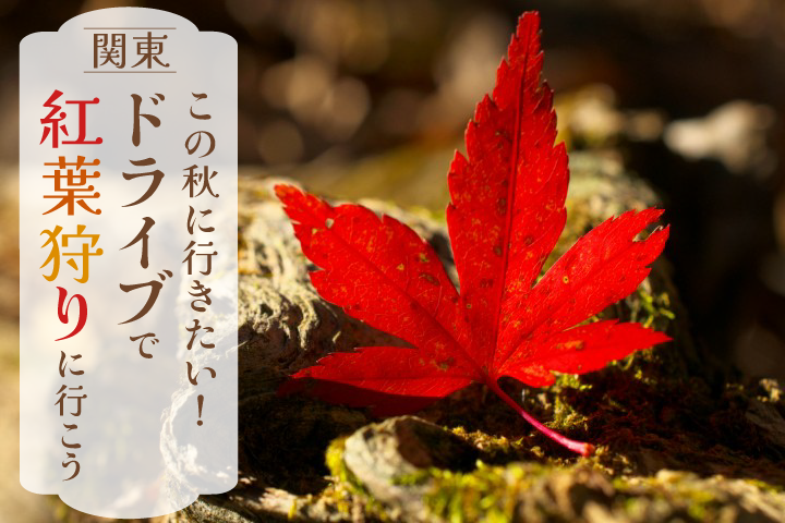 紅葉狩り